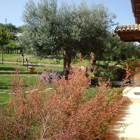 Agriturismo Il Borgo Degli Ulivi-3